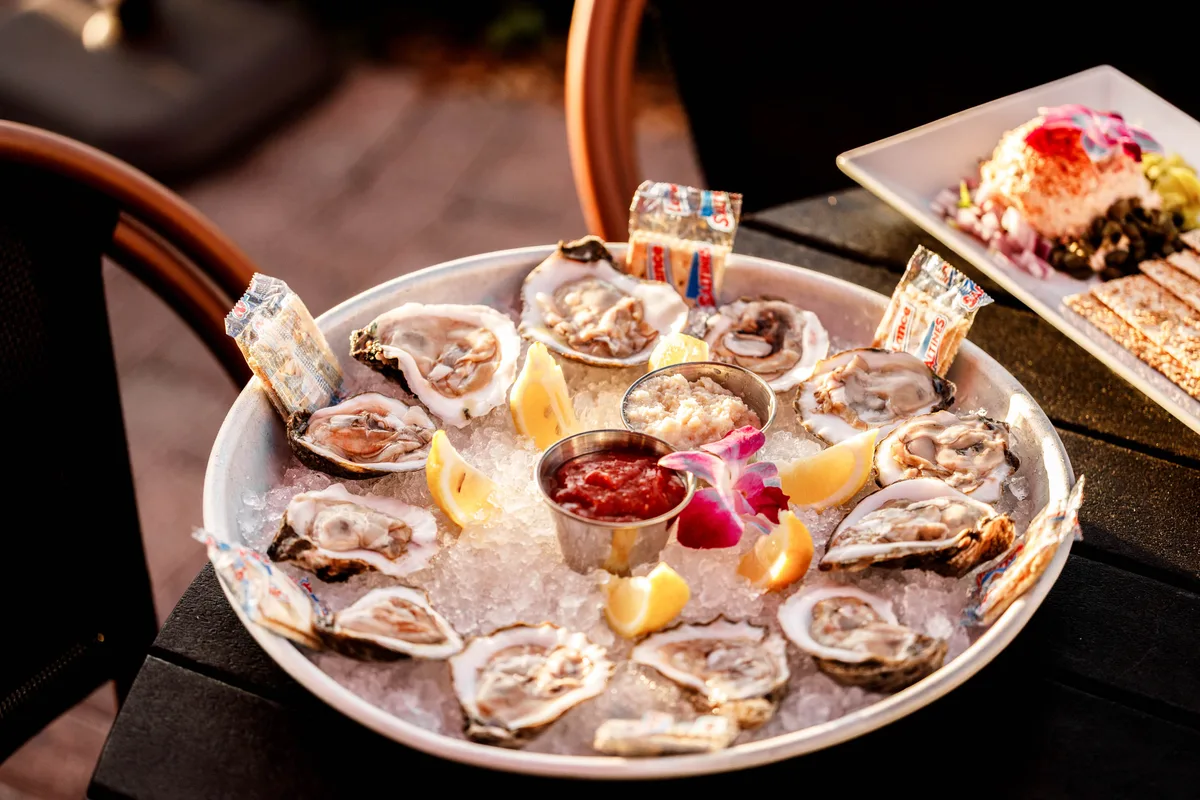 Oysters served on ice at Sundowners